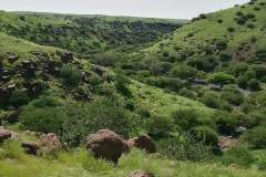 1_WhatsApp-Image-2025-08-02-at-13.03.58_2e234088