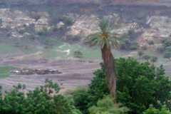 1_WhatsApp-Image-2025-08-02-at-15.57.52_1e41f0bf