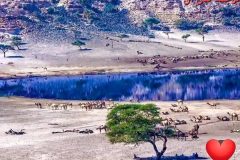 1_WhatsApp-Image-2025-08-02-at-15.57.55_b76f5ec7