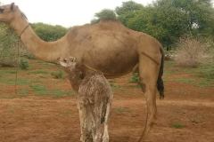 1_WhatsApp-Image-2025-08-02-at-15.57.56_9bce04f9