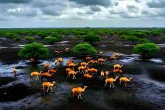 1_WhatsApp-Image-2025-08-02-at-15.58.34_da55b173