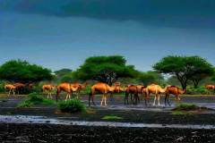 1_WhatsApp-Image-2025-08-02-at-15.58.35_3b67eb2e