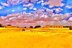 1_WhatsApp-Image-2025-08-02-at-15.58.35_e4ad0240