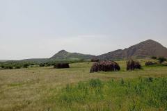 WhatsApp-Image-2025-08-02-at-13.03.50_c927fd2c