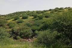 WhatsApp-Image-2025-08-02-at-13.03.51_4a4e82f7