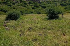 WhatsApp-Image-2025-08-02-at-13.03.53_b7cee7b7