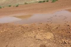 WhatsApp-Image-2025-08-02-at-13.03.55_84a11d82