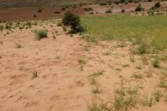 WhatsApp-Image-2025-08-02-at-13.03.56_b5788b3b