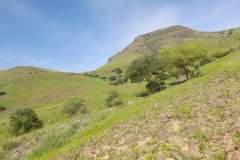 WhatsApp-Image-2025-08-02-at-13.04.04_8dae2467