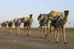 WhatsApp-Image-2025-08-02-at-13.04.05_a2b591a2