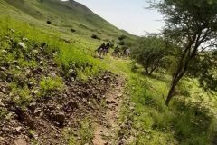 WhatsApp-Image-2025-08-02-at-13.04.07_00bb00ae