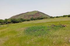 WhatsApp-Image-2025-08-02-at-13.04.08_c6454fab