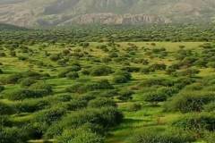 WhatsApp-Image-2025-08-02-at-13.04.08_f8dfd830