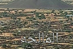 WhatsApp-Image-2025-08-02-at-15.57.51_5fea32fe