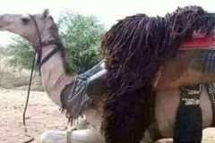 WhatsApp-Image-2025-08-02-at-15.57.55_6f15be52